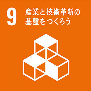 SDGs_9