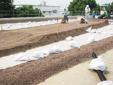 緑地公園化工事（路床部分転圧状況）