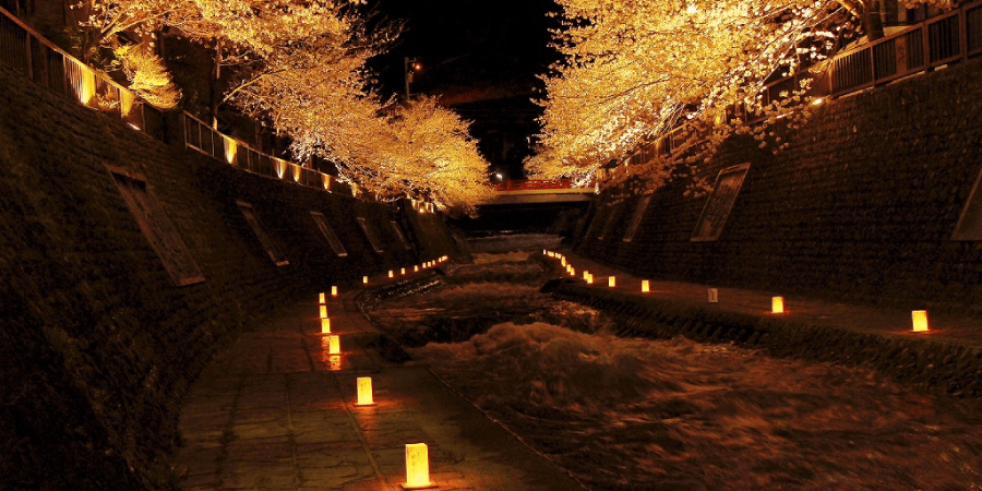 飛騨神岡 夜桜夜市