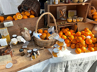 柑橘祭のお店