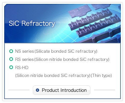 SiC Refractory